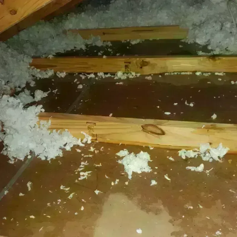 Attic Water Damage in Capron, IL