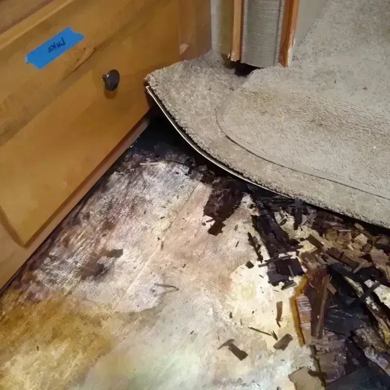 Wood Floor Water Damage in Capron, IL